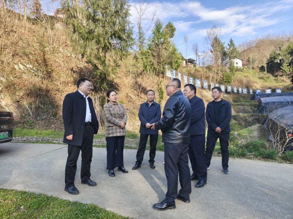 王明智深入定點幫扶村指導鄉村振興工作